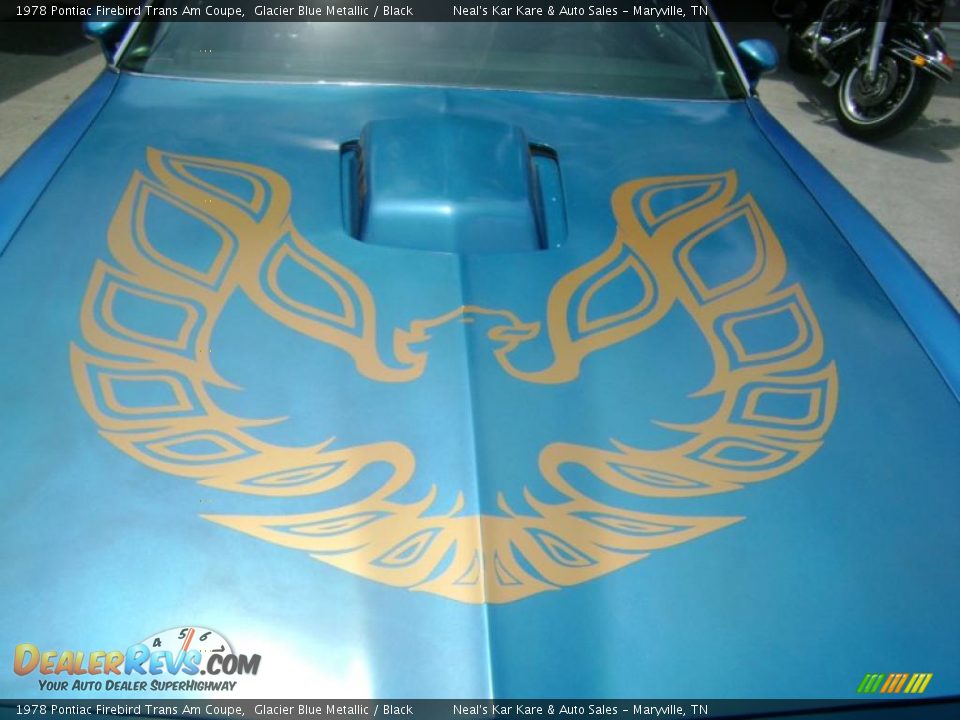 1978 Pontiac Firebird Trans Am Coupe Logo Photo #3