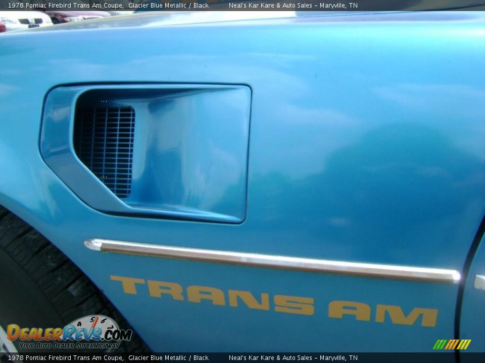1978 Pontiac Firebird Trans Am Coupe Logo Photo #11
