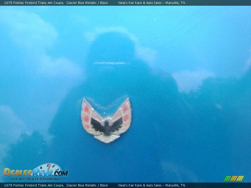 1978 Pontiac Firebird Trans Am Coupe Logo Photo #14