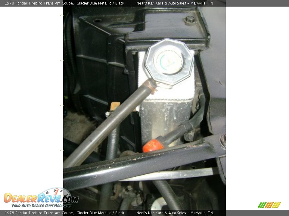 1978 Pontiac Firebird Trans Am Coupe Glacier Blue Metallic / Black Photo #18