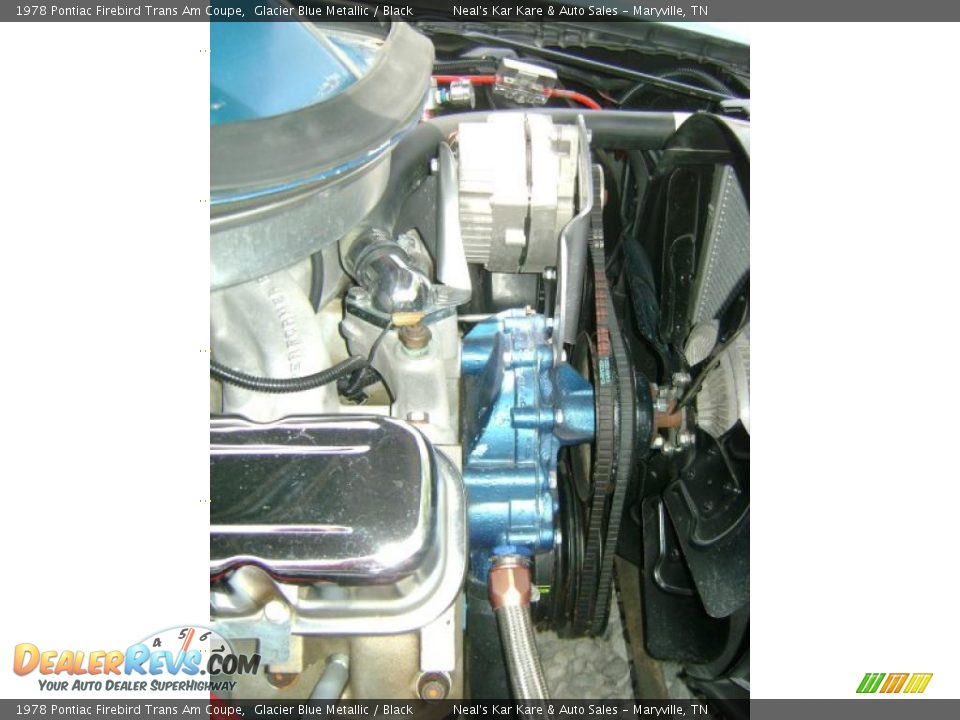 1978 Pontiac Firebird Trans Am Coupe Glacier Blue Metallic / Black Photo #19