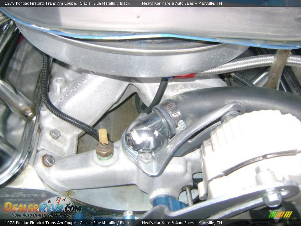 1978 Pontiac Firebird Trans Am Coupe Glacier Blue Metallic / Black Photo #25