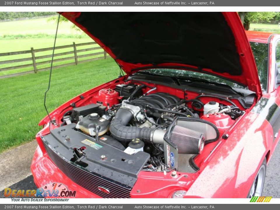 2007 Ford Mustang Foose Stallion Edition Torch Red / Dark Charcoal Photo #13