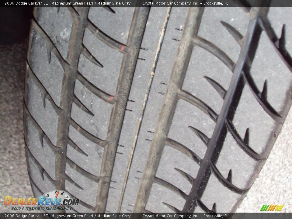 2006 Dodge Caravan SE Magnesium Green Pearl / Medium Slate Gray Photo #15
