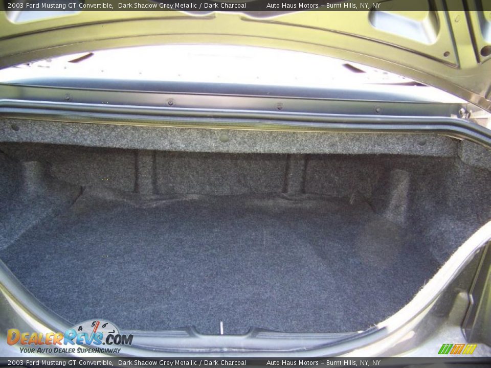 2003 Ford Mustang GT Convertible Dark Shadow Grey Metallic / Dark Charcoal Photo #18