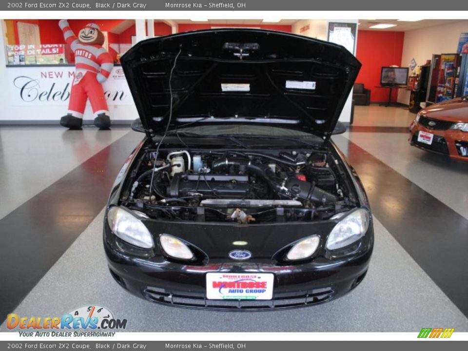 2002 Ford Escort ZX2 Coupe Black / Dark Gray Photo #19
