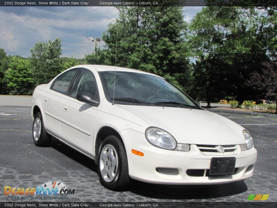2002 Dodge Neon Stone White / Dark Slate Gray Photo #3