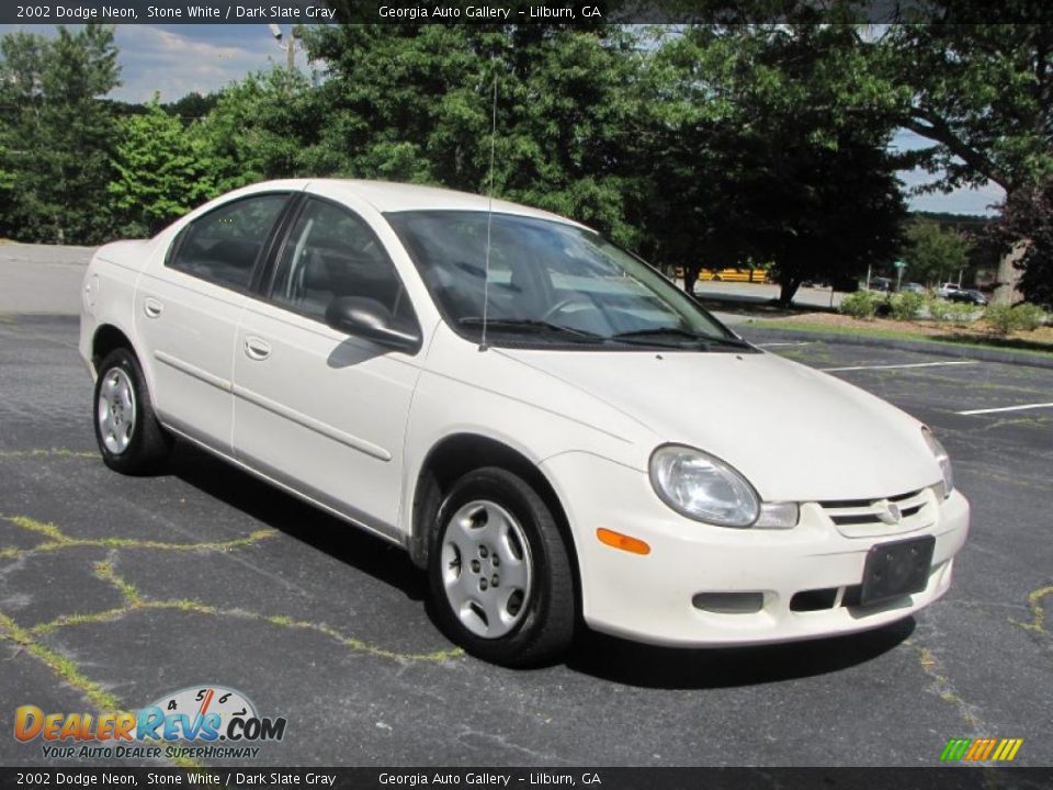 2002 Dodge Neon Stone White / Dark Slate Gray Photo #5