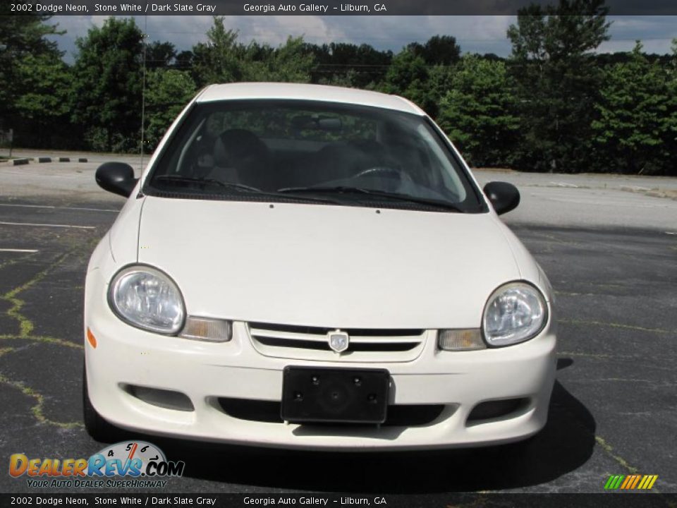 2002 Dodge Neon Stone White / Dark Slate Gray Photo #7