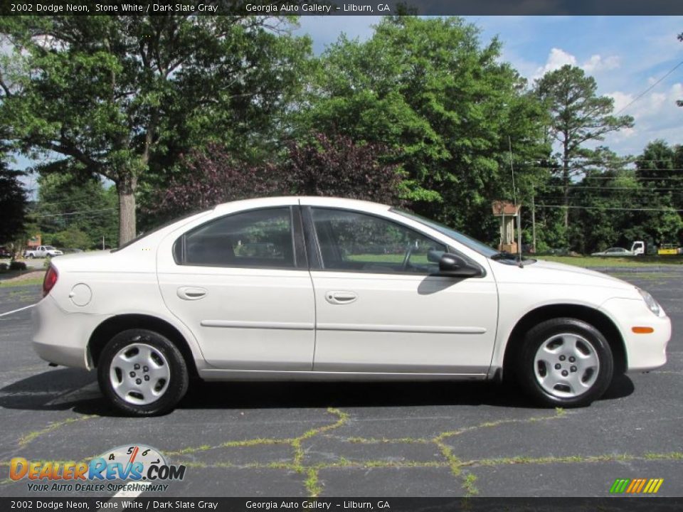 2002 Dodge Neon Stone White / Dark Slate Gray Photo #11