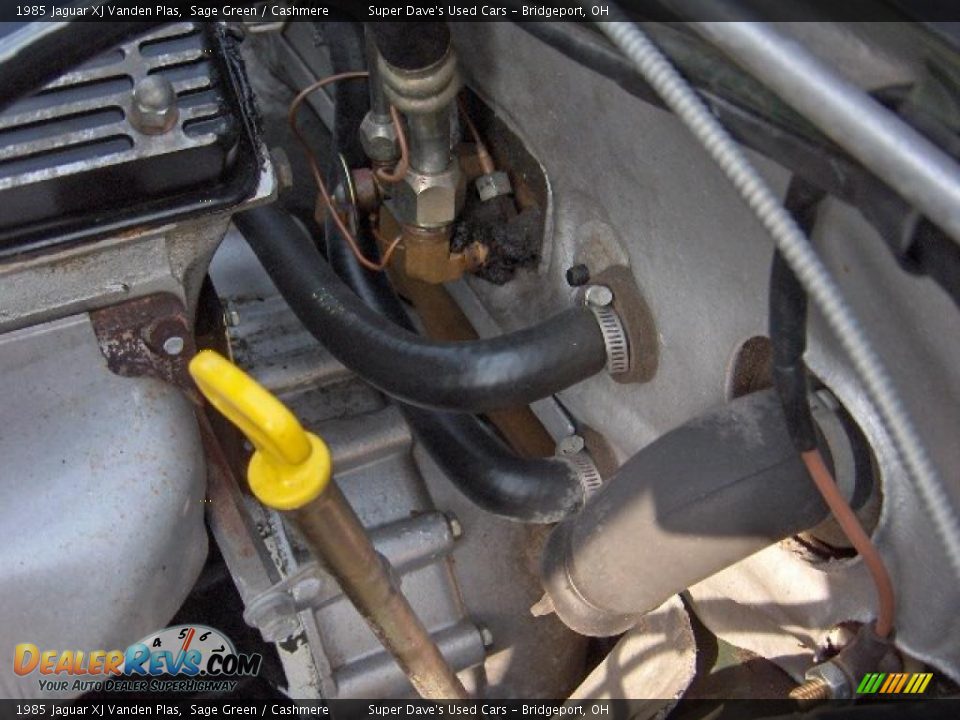 1985 Jaguar XJ Vanden Plas Sage Green / Cashmere Photo #30