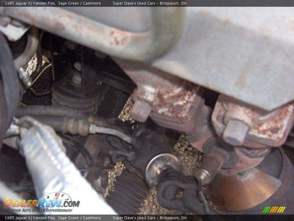 1985 Jaguar XJ Vanden Plas Sage Green / Cashmere Photo #34