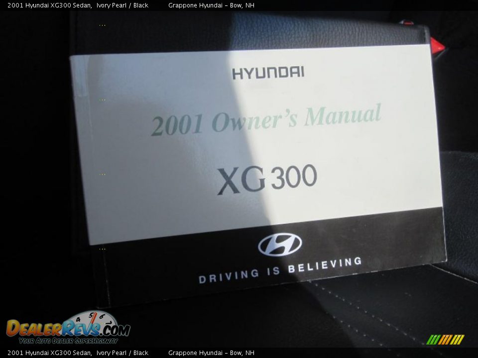 2001 Hyundai XG300 Sedan Ivory Pearl / Black Photo #9