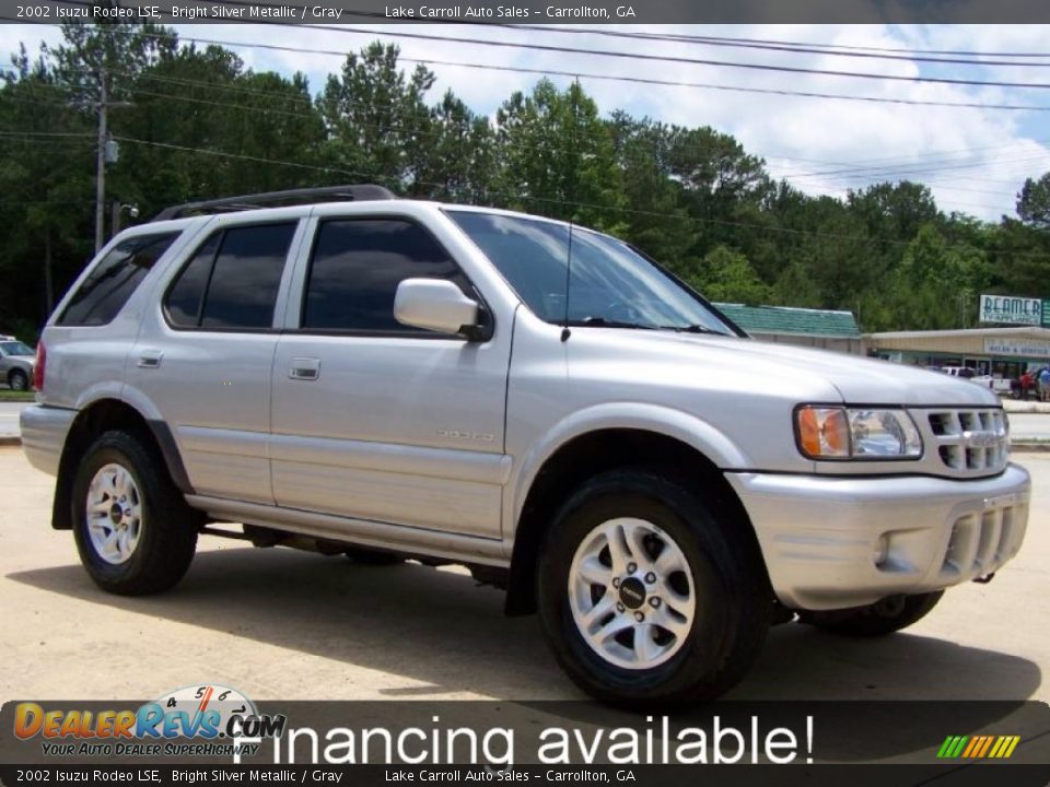 2002 Isuzu Rodeo LSE Bright Silver Metallic / Gray Photo #1