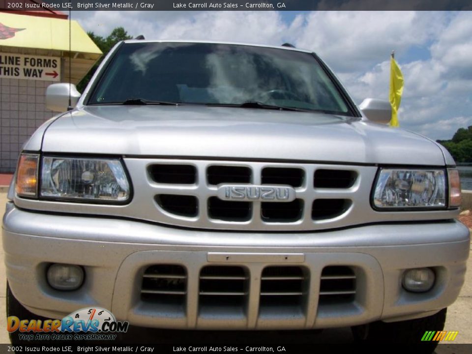 2002 Isuzu Rodeo LSE Bright Silver Metallic / Gray Photo #10