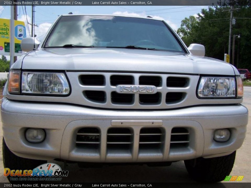 2002 Isuzu Rodeo LSE Bright Silver Metallic / Gray Photo #15