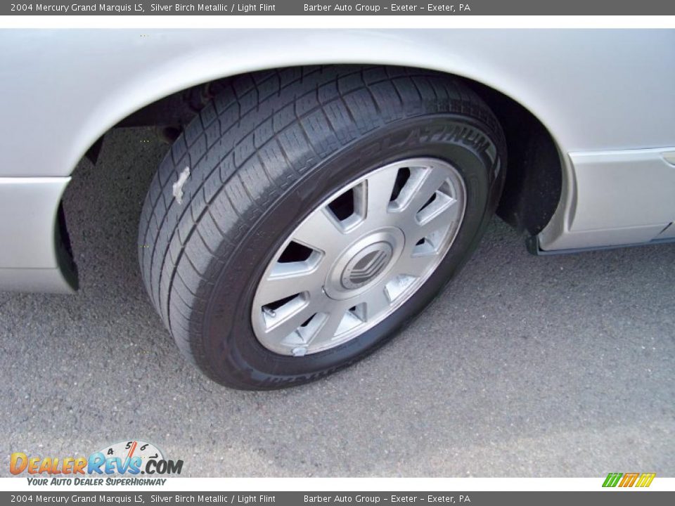 2004 Mercury Grand Marquis LS Silver Birch Metallic / Light Flint Photo #10