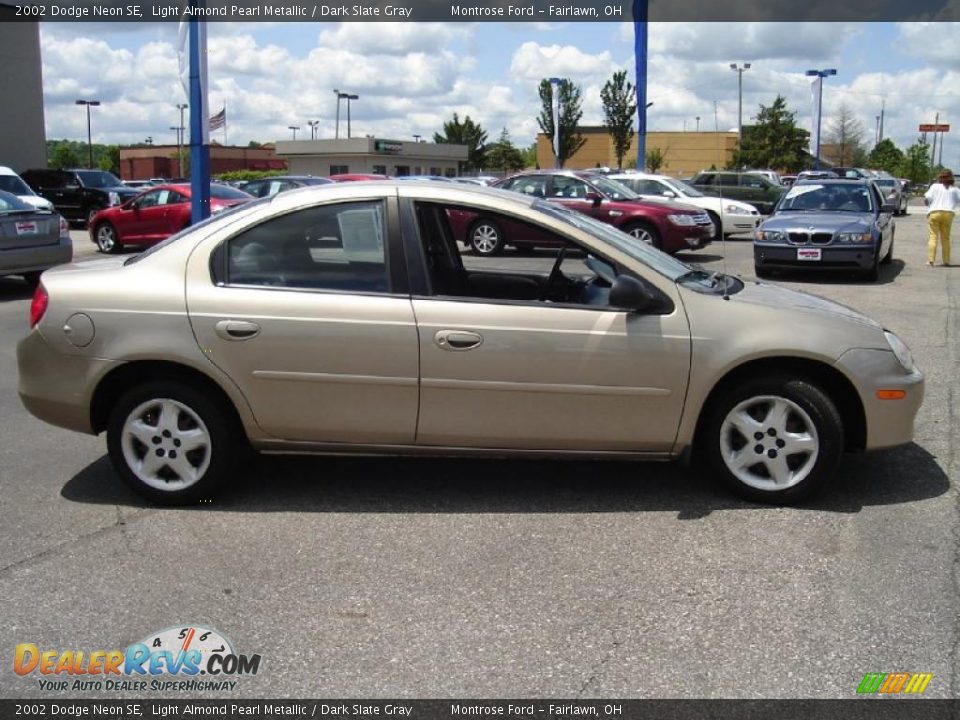 2002 Dodge Neon SE Light Almond Pearl Metallic / Dark Slate Gray Photo #6
