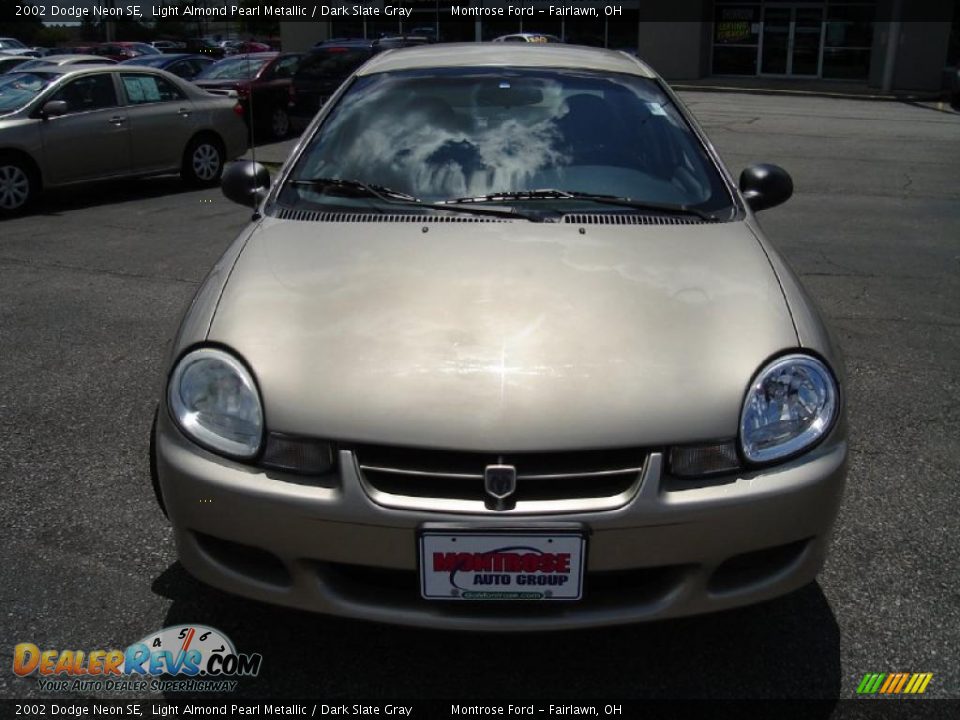 2002 Dodge Neon SE Light Almond Pearl Metallic / Dark Slate Gray Photo #8