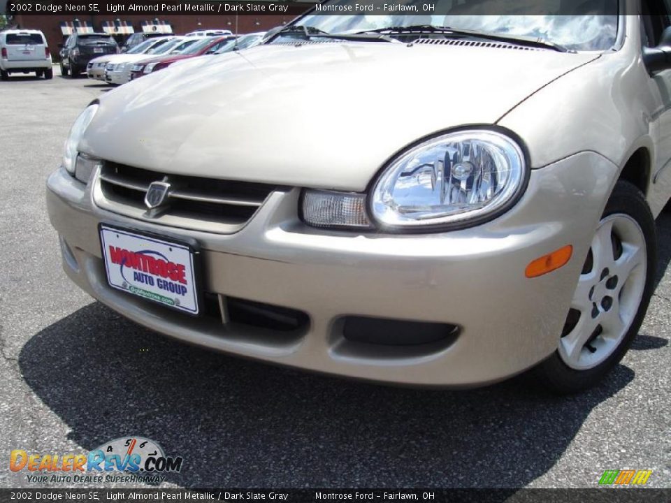 2002 Dodge Neon SE Light Almond Pearl Metallic / Dark Slate Gray Photo #9