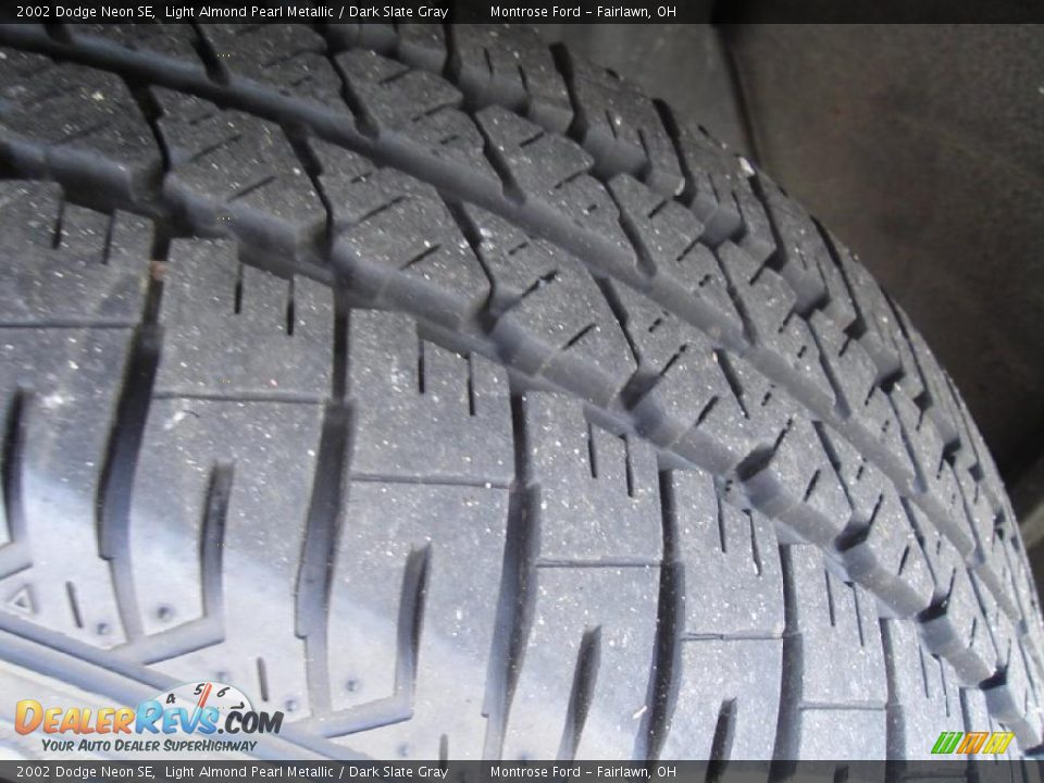 2002 Dodge Neon SE Light Almond Pearl Metallic / Dark Slate Gray Photo #10