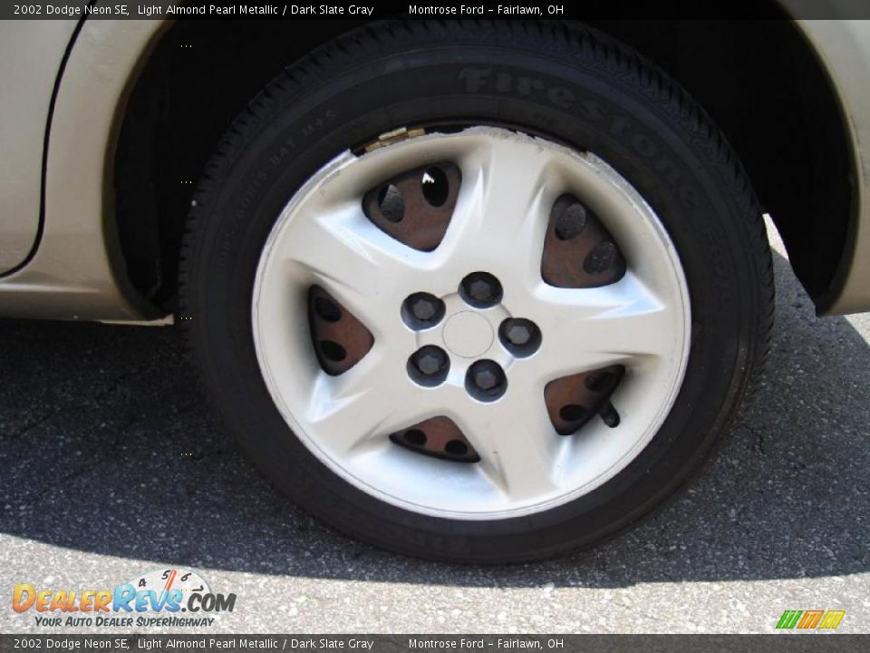 2002 Dodge Neon SE Light Almond Pearl Metallic / Dark Slate Gray Photo #11