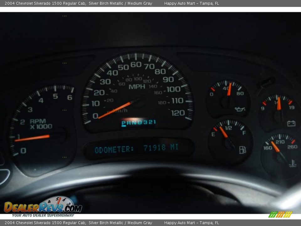 2004 Chevrolet Silverado 1500 Regular Cab Silver Birch Metallic / Medium Gray Photo #15