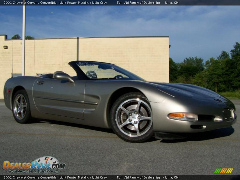 2001 Chevrolet Corvette Convertible Light Pewter Metallic / Light Gray Photo #10