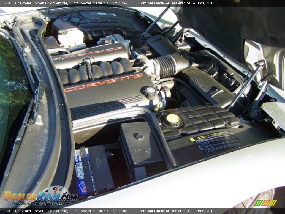 2001 Chevrolet Corvette Convertible Light Pewter Metallic / Light Gray Photo #18
