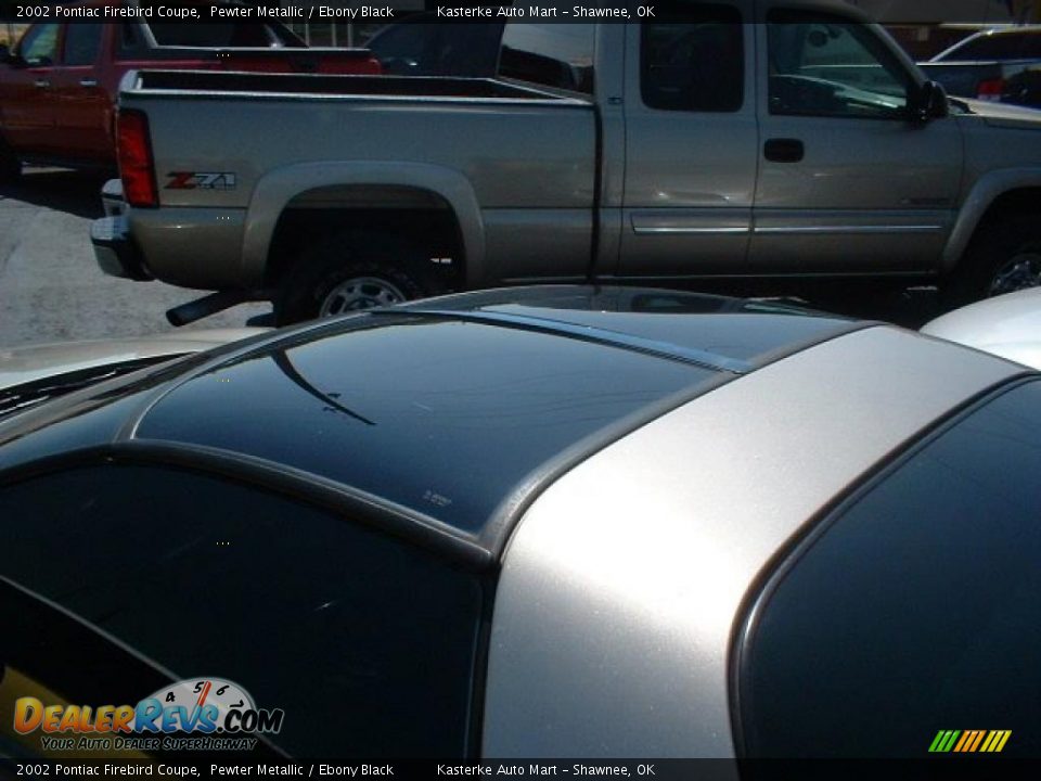 2002 Pontiac Firebird Coupe Pewter Metallic / Ebony Black Photo #6