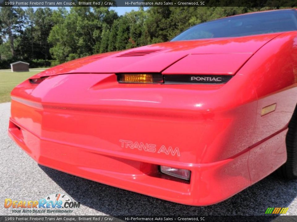 1989 Pontiac Firebird Trans Am Coupe Brilliant Red / Gray Photo #15