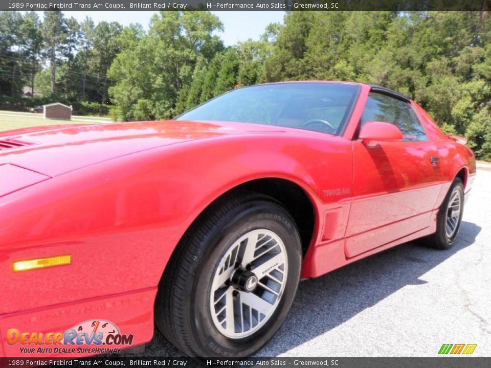 1989 Pontiac Firebird Trans Am Coupe Brilliant Red / Gray Photo #18