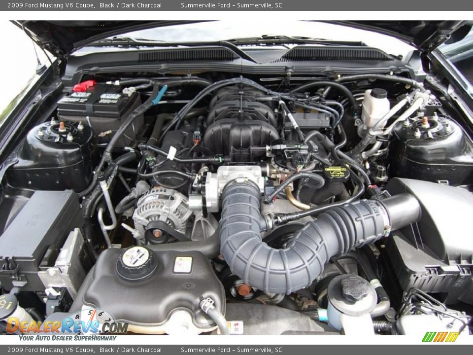 2009 Ford Mustang V6 Coupe Black / Dark Charcoal Photo #18
