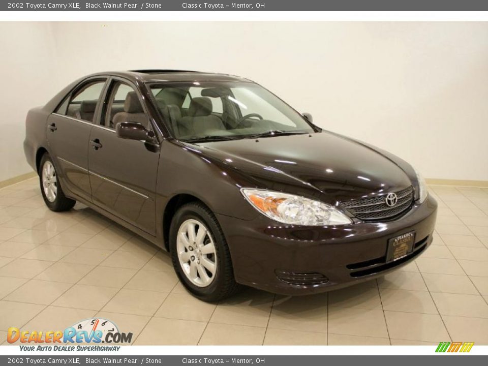 2002 toyota camry brown #2