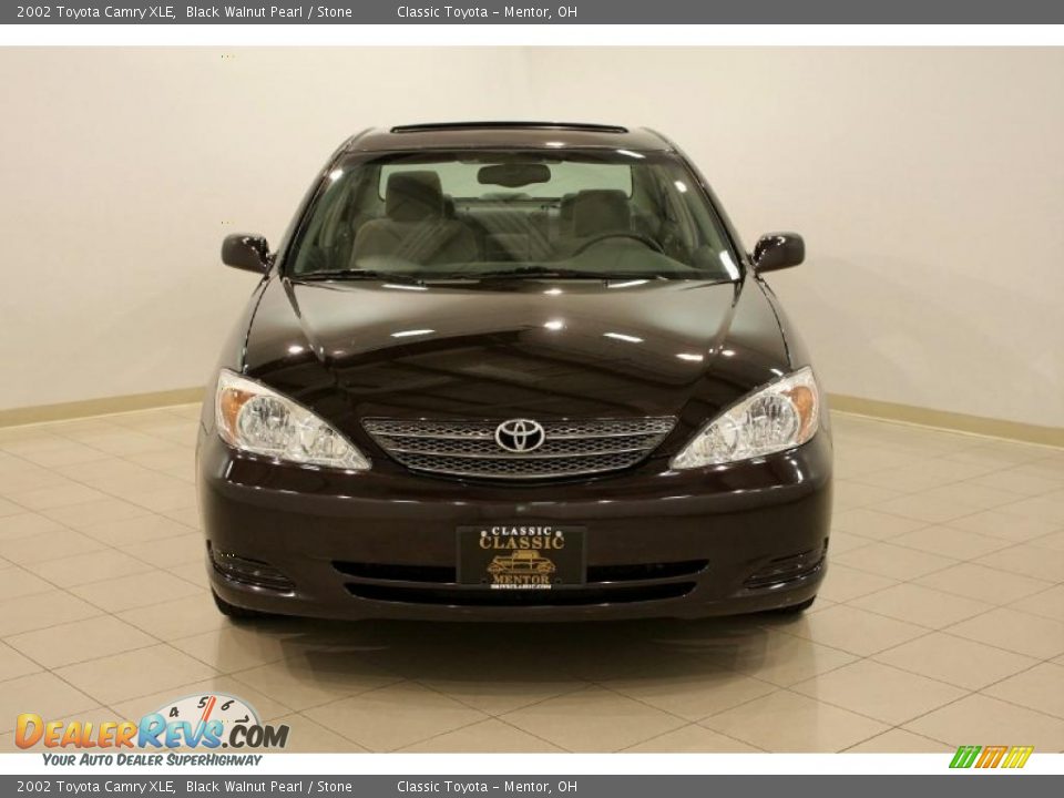 2002 Toyota Camry XLE Black Walnut Pearl / Stone Photo #2