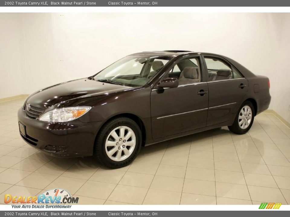 2002 Toyota Camry XLE Black Walnut Pearl / Stone Photo #3