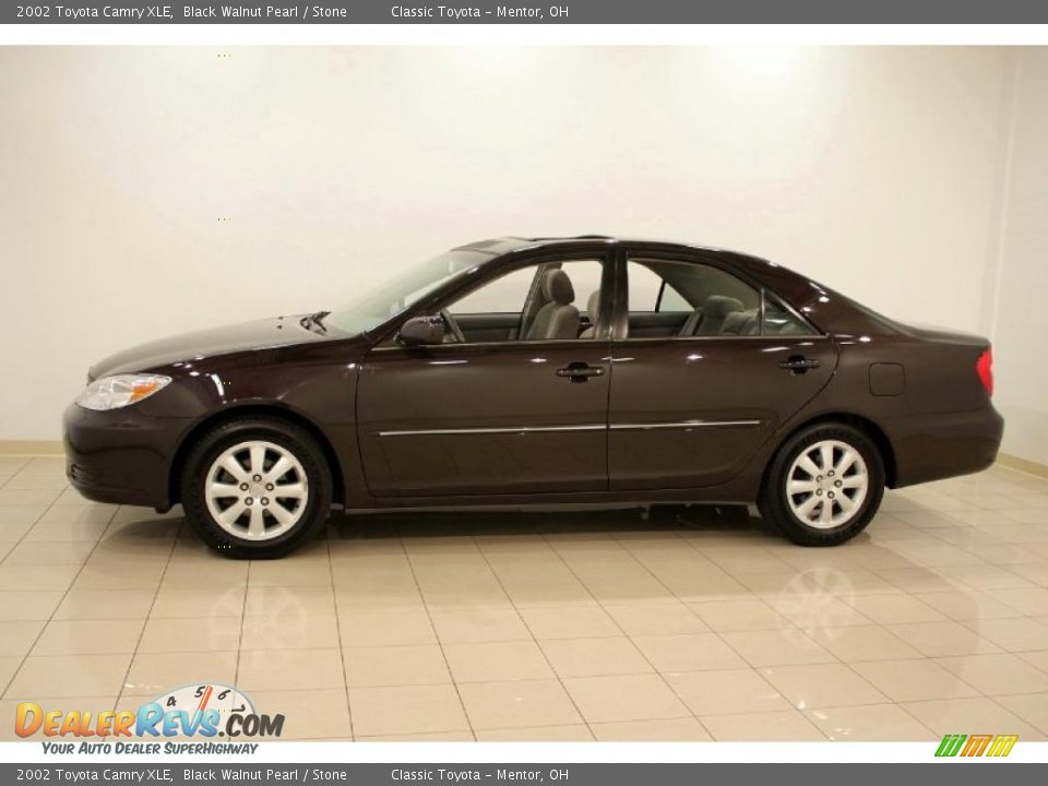 2002 Toyota Camry XLE Black Walnut Pearl / Stone Photo #4