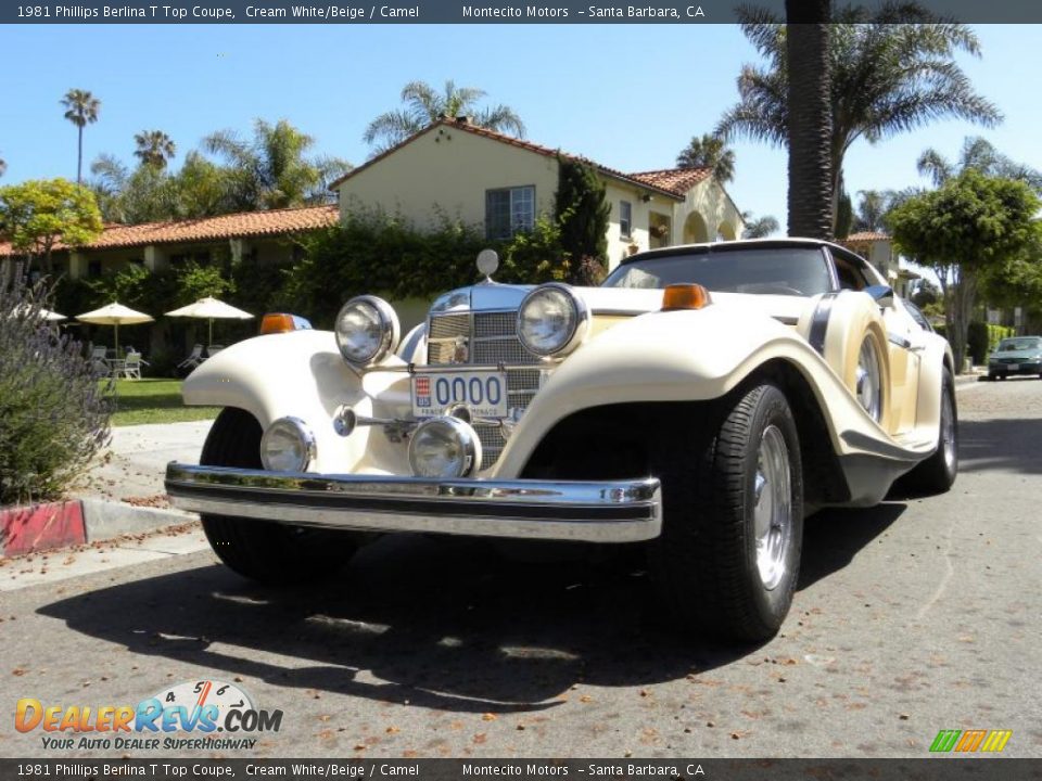 Front 3/4 View of 1981 Phillips Berlina T Top Coupe Photo #11