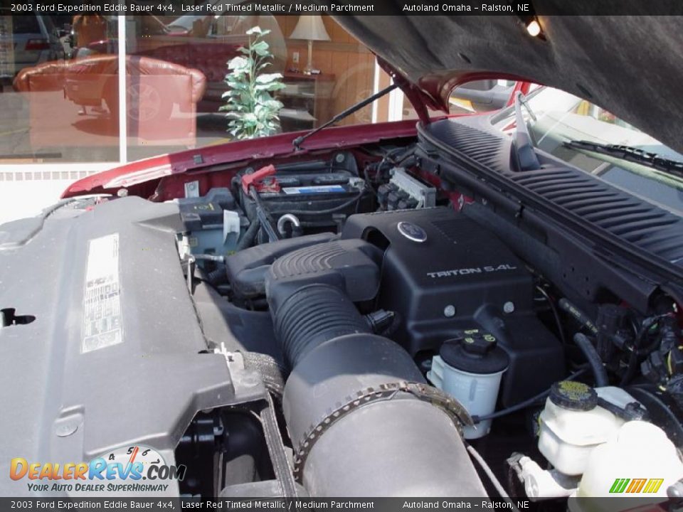 2003 Ford Expedition Eddie Bauer 4x4 Laser Red Tinted Metallic / Medium Parchment Photo #28