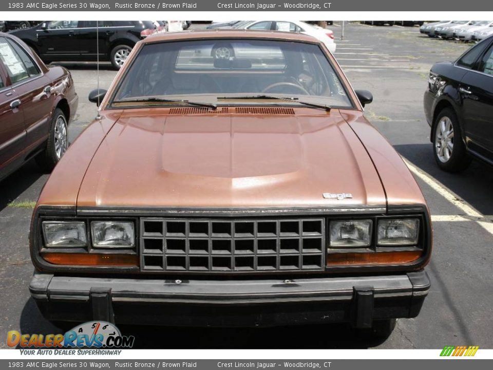 1983 AMC Eagle Series 30 Wagon Rustic Bronze / Brown Plaid Photo #2