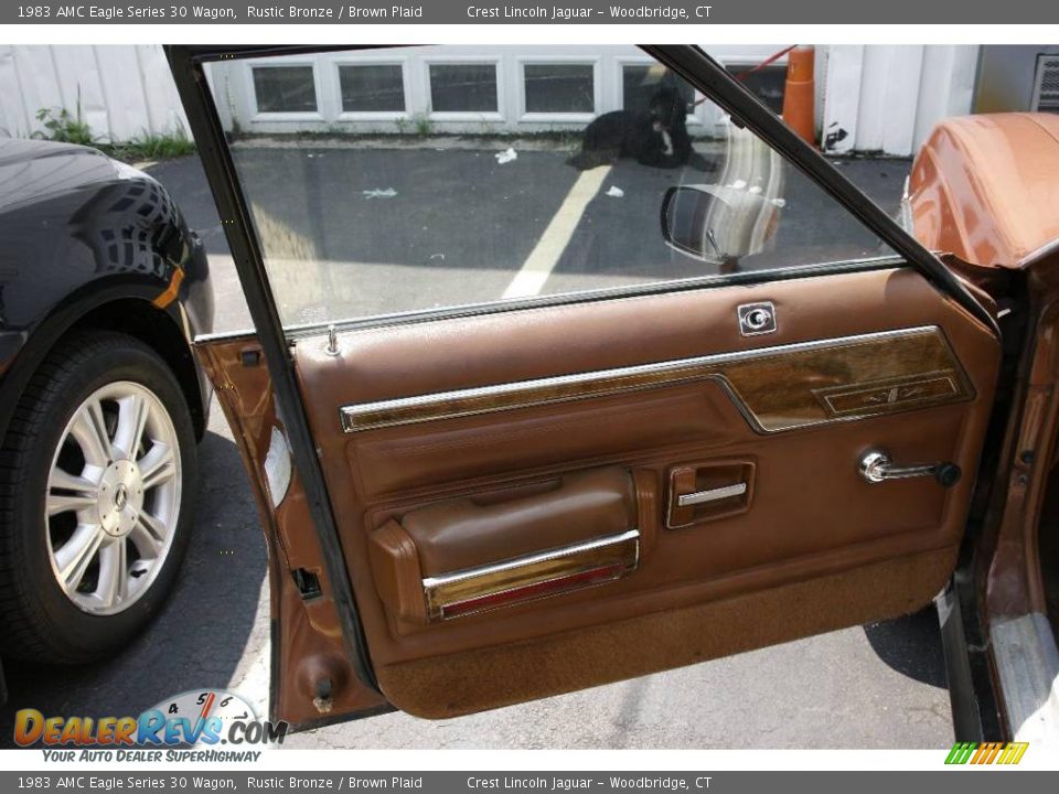 Door Panel of 1983 AMC Eagle Series 30 Wagon Photo #13