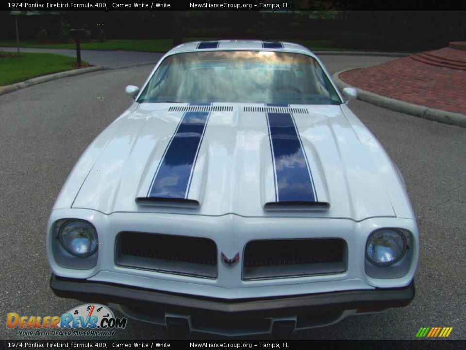 1974 Pontiac Firebird Formula 400 Cameo White / White Photo #1