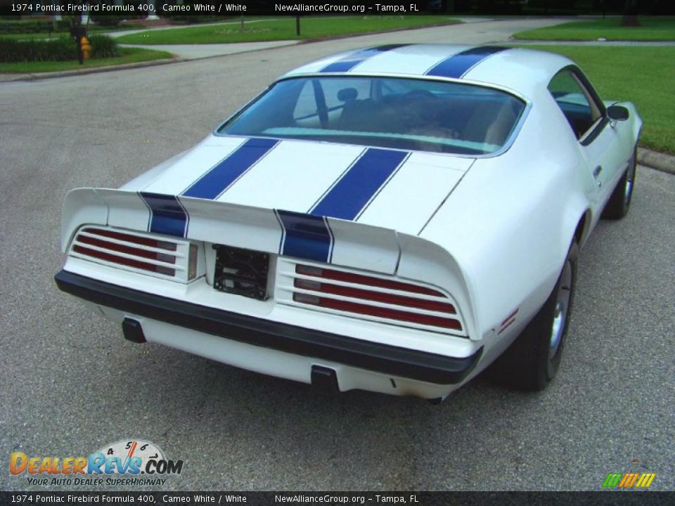 1974 Pontiac Firebird Formula 400 Cameo White / White Photo #5
