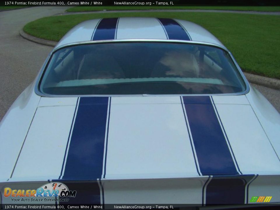 1974 Pontiac Firebird Formula 400 Cameo White / White Photo #7