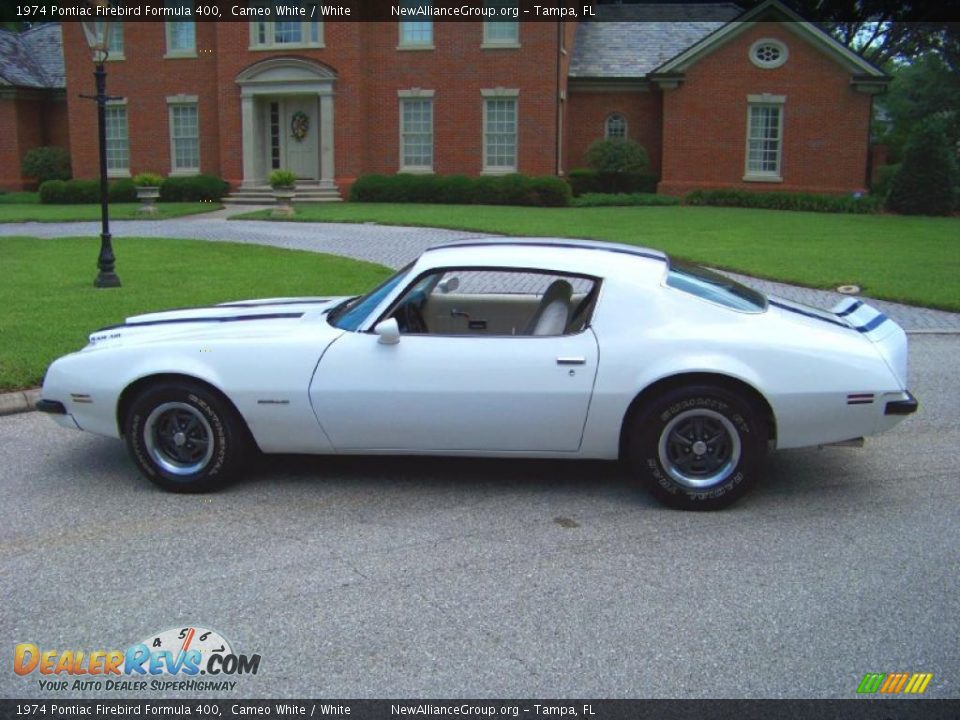 1974 Pontiac Firebird Formula 400 Cameo White / White Photo #9