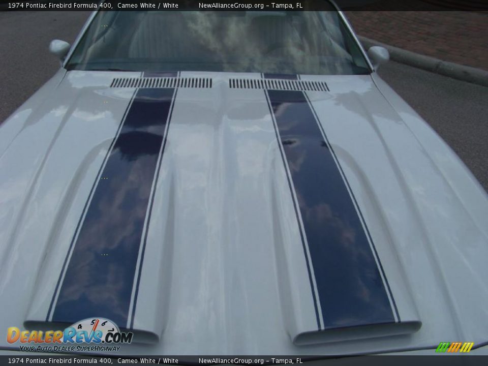 1974 Pontiac Firebird Formula 400 Cameo White / White Photo #12