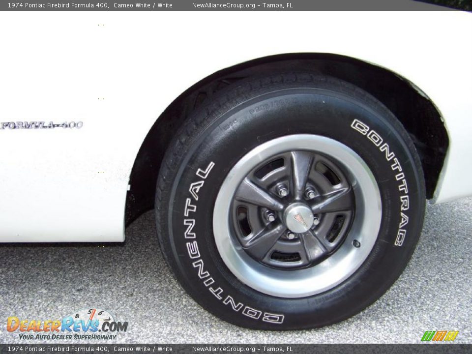 1974 Pontiac Firebird Formula 400 Cameo White / White Photo #14
