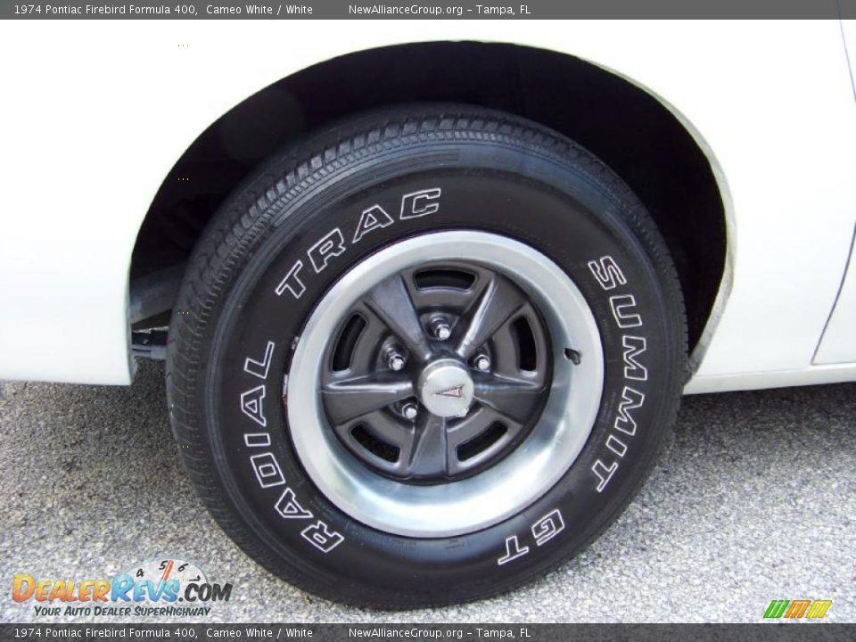1974 Pontiac Firebird Formula 400 Cameo White / White Photo #15