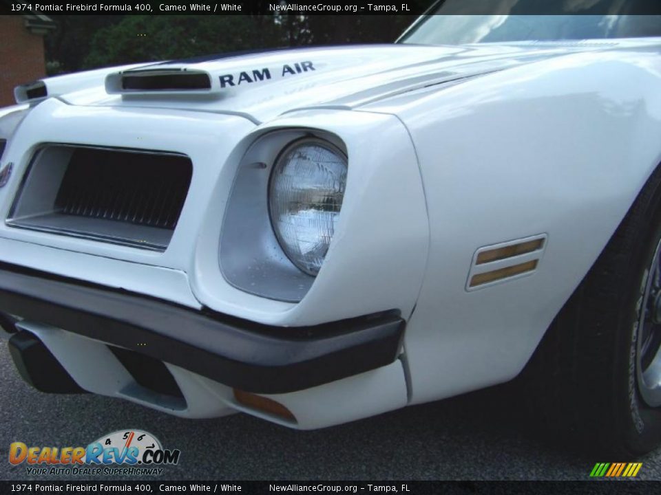 1974 Pontiac Firebird Formula 400 Cameo White / White Photo #19