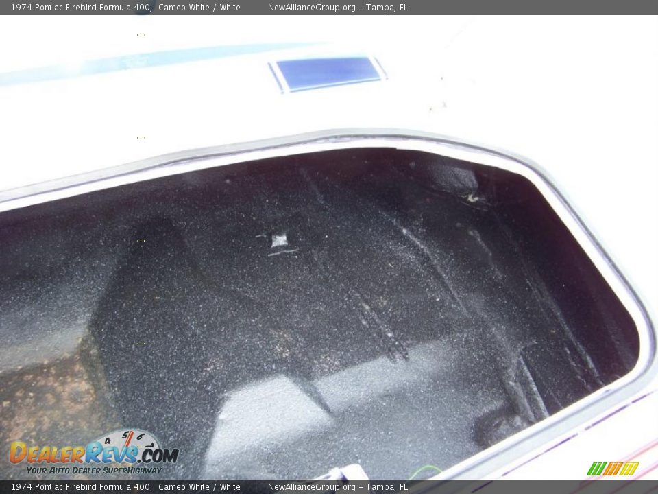 1974 Pontiac Firebird Formula 400 Cameo White / White Photo #21